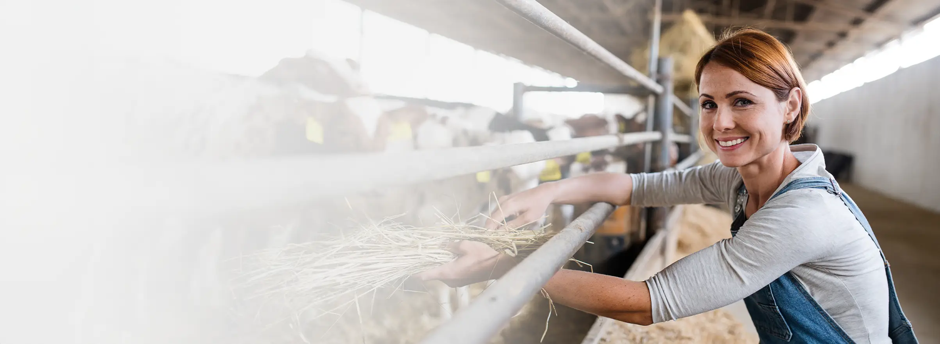 Agrar-Bürgschaft für landwirtschaftliche Betriebe